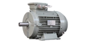 special_features/motor_ip54_300x150.jpg